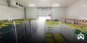 Gudang cold storage sayuran mendukung fungsi GPS tracker untuk perusahaan makanan dan minuman.